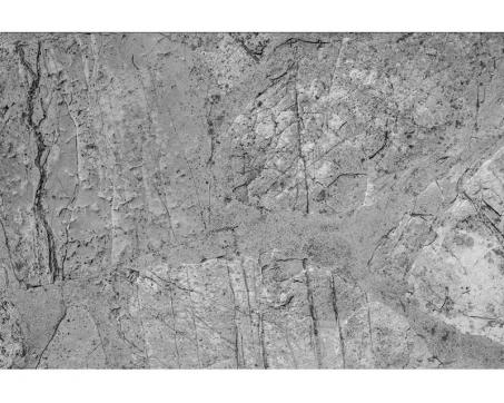 Samolepicí vliesová fototapeta Betonová podlaha 375 x 250 cm