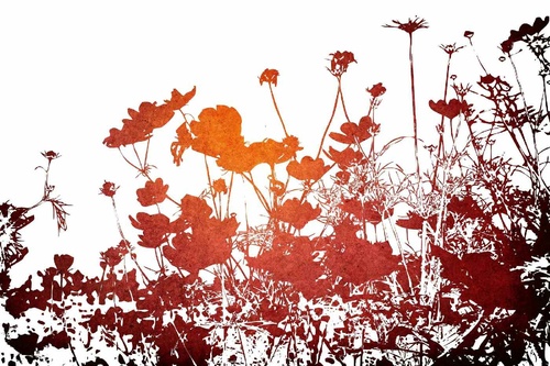 Vliesová fototapeta Květinová textura 375 x 250 cm