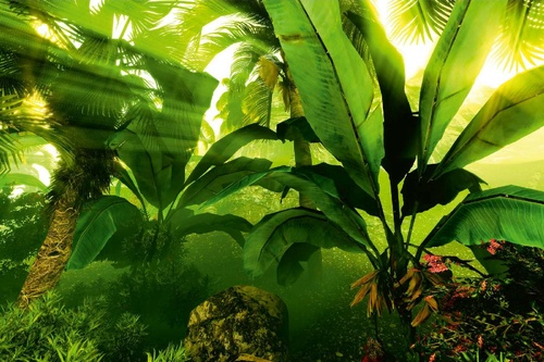 Vliesová fototapeta Tropický deštný prales 375 x 250 cm