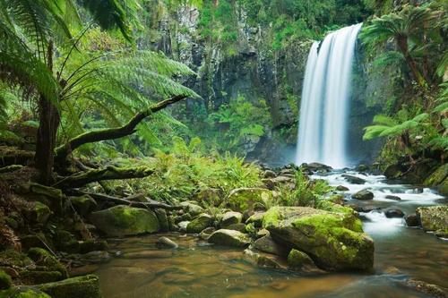 Vliesová fototapeta Vodopád v džungli 375 x 250 cm