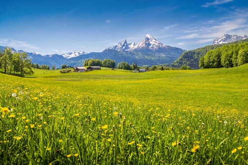 Vliesová fototapeta Idylický pohled na Alpy 375 x 250 cm