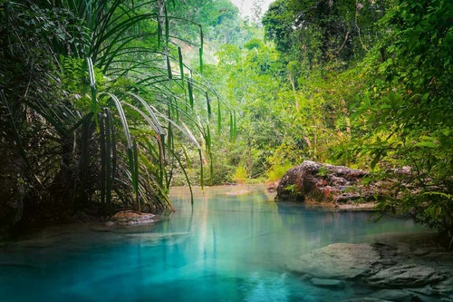 Vliesová fototapeta Průzračná voda v džungli 375 x 250 cm