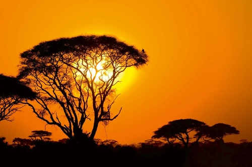 Vliesová fototapeta Západ slunce v Africe 375 x 250 cm