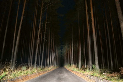 Vliesová fototapeta Noční pohled na silnici 375 x 250 cm