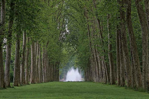 Vliesová fototapeta Park Versailles 375 x 250 cm